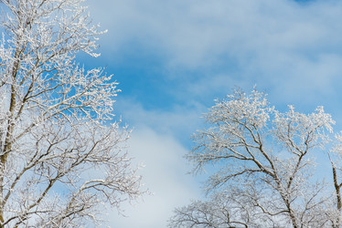 Similar image 22095141