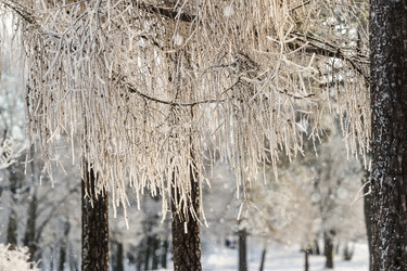 Similar image 22095153