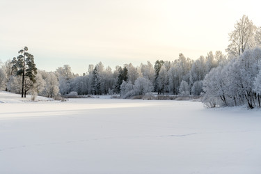 Similar image 22095154