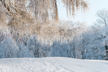 Similar image 22095155