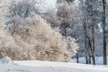 Similar image 22095156