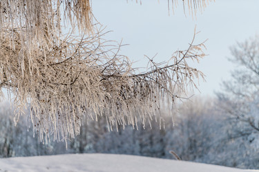 Similar image 22095158