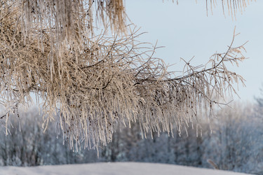 Similar image 22095159