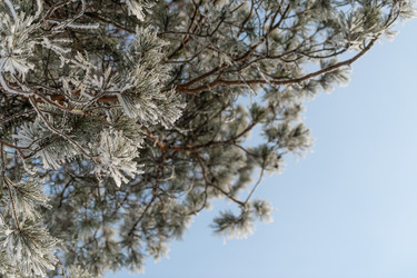 Similar image 22095161