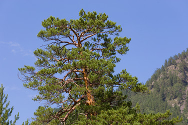 Similar image 22092873