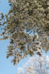 Similar image 22094802