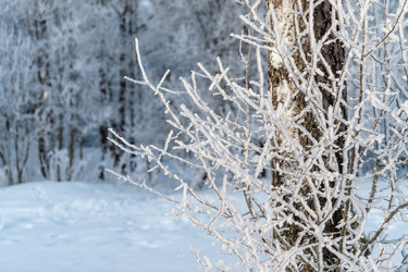 Similar image 22094807