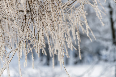 Similar image 22094827