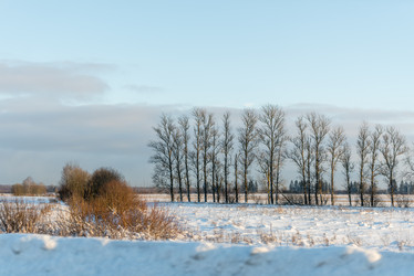 Similar image 22095163