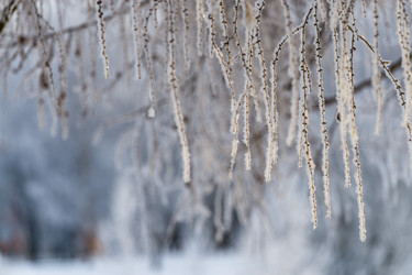 Similar image 22095164