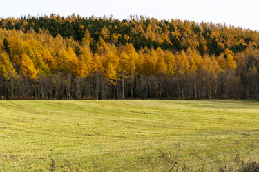 Similar image 22108957