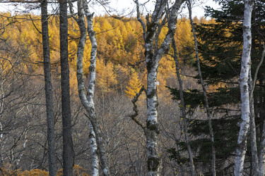 Similar image 22108958