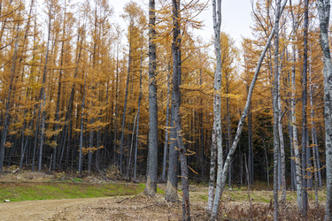 Similar image 22108959