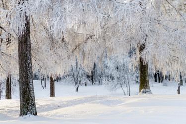 Similar image 22094831