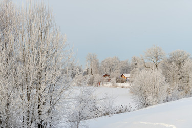 Similar image 22094844