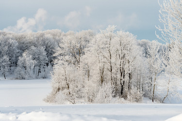 Similar image 22094853