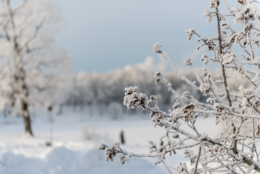 Similar image 22094858