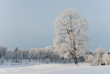 Similar image 22094870