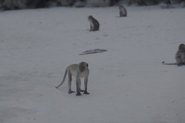 Similar image 22099672