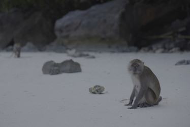 Similar image 22099673