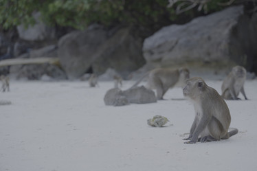 Similar image 22099674