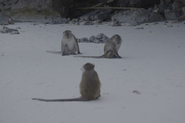 Similar image 22099675