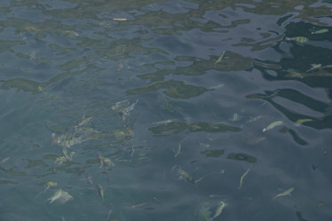 Similar image 22099677