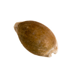 Similar image 22094878