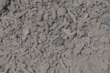 Similar image 22099682