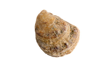 Similar image 22095313