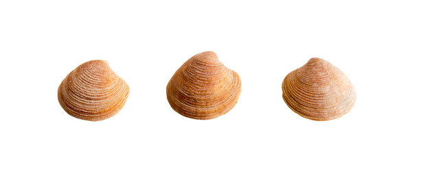 Similar image 22095315