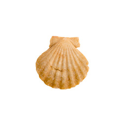 Similar image 22095321