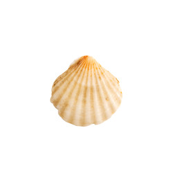 Similar image 22095322