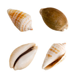 Similar image 22095349