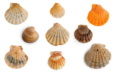 Similar image 22095350