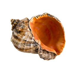 Similar image 22094890