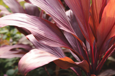 Similar image 22099965