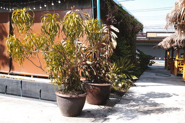 Similar image 22099970