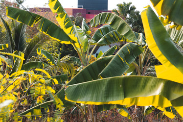 Similar image 22099687