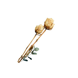 Similar image 22094912