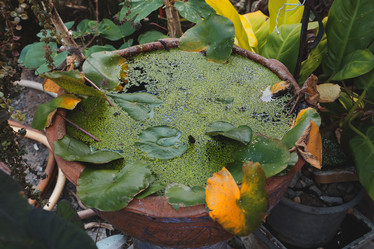 Similar image 22099690