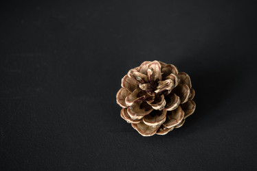 Similar image 22095191