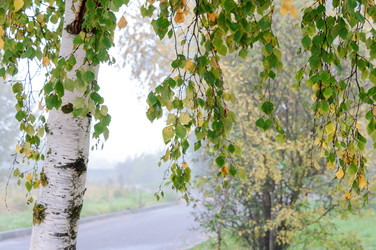 Similar image 22095194