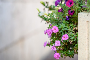 Similar image 22095197