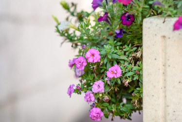 Similar image 22095199