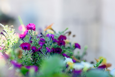 Similar image 22095203