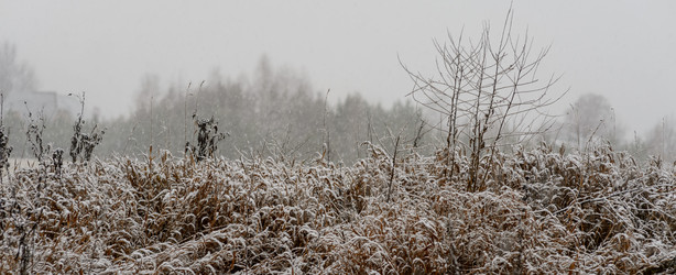 Similar image 22095208