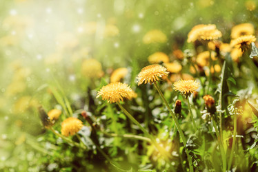 Similar image 22095210