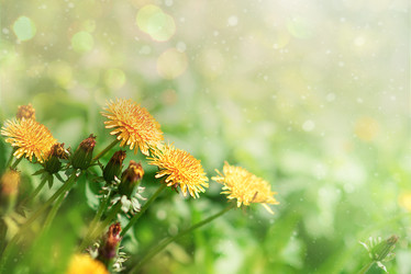 Similar image 22095212