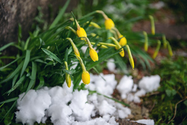 Similar image 22095213